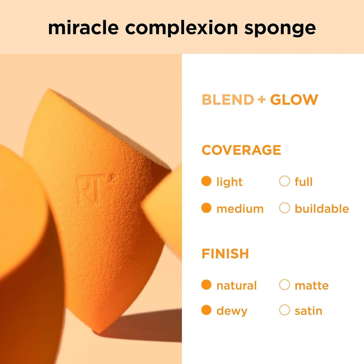 Everyday Essentials + Makeup Sponge Kit, 4 Makeup Brushes and 2 Makeup Blender Sponges,Blush, Bronzer, Eyeshadow, and Powder, Synthetic Bristles, Cruelty-Free, 6 Piece Set