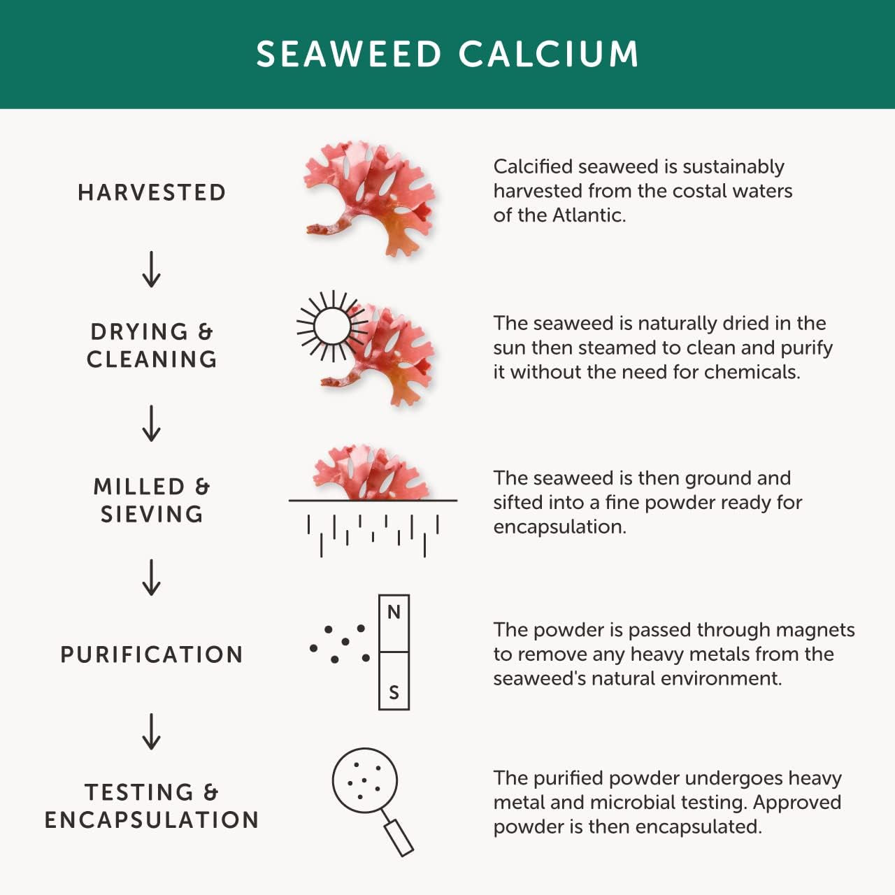 Calcium –  Health – Seaweed-Based Calcium – 72 Trace Minerals – Vegan Friendly – Made in the UK – 60 Vegecaps