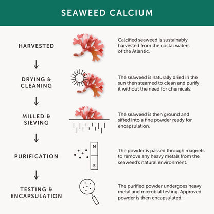 Calcium –  Health – Seaweed-Based Calcium – 72 Trace Minerals – Vegan Friendly – Made in the UK – 60 Vegecaps