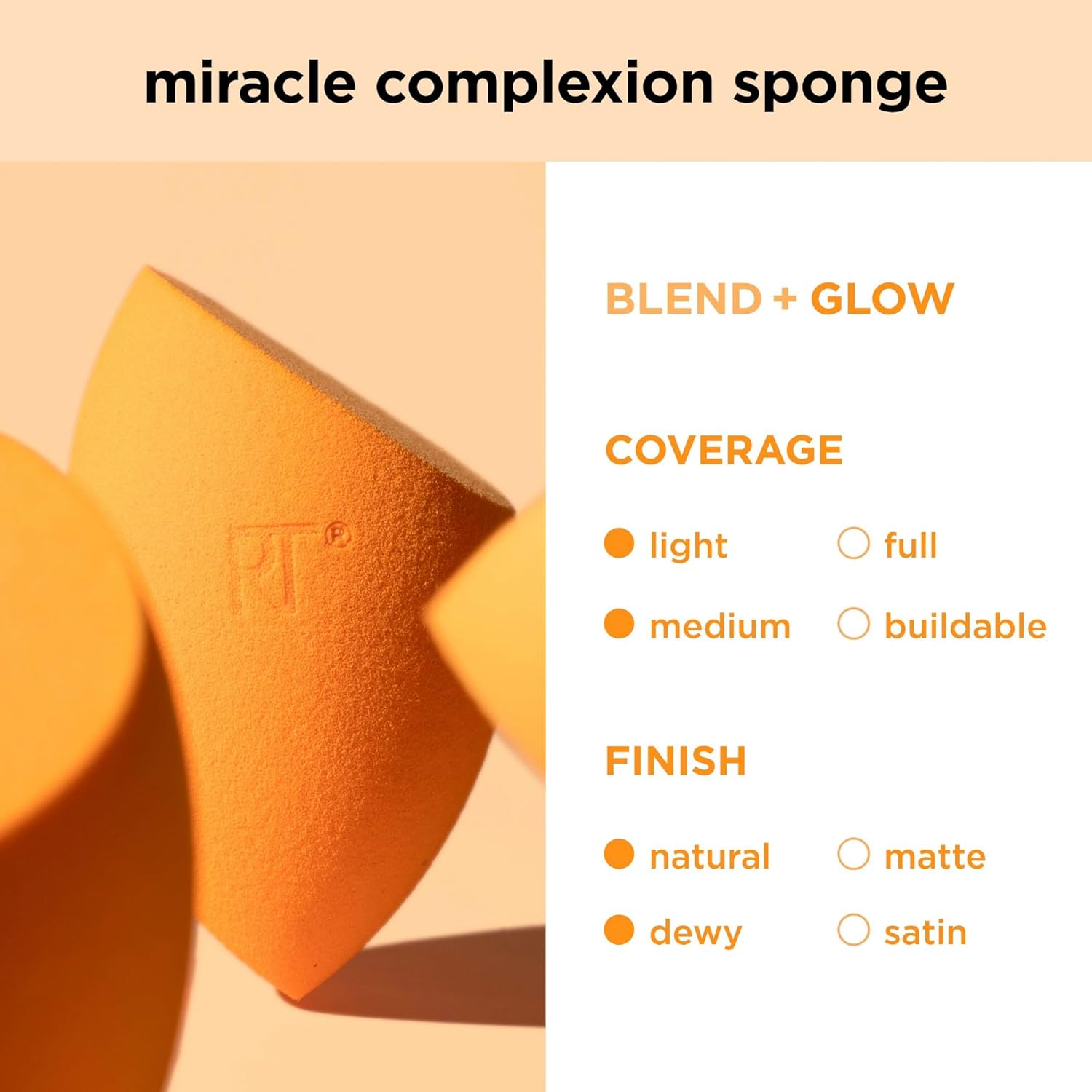Everyday Essentials + Makeup Sponge Kit, 4 Makeup Brushes and 2 Makeup Blender Sponges,Blush, Bronzer, Eyeshadow, and Powder, Synthetic Bristles, Cruelty-Free, 6 Piece Set
