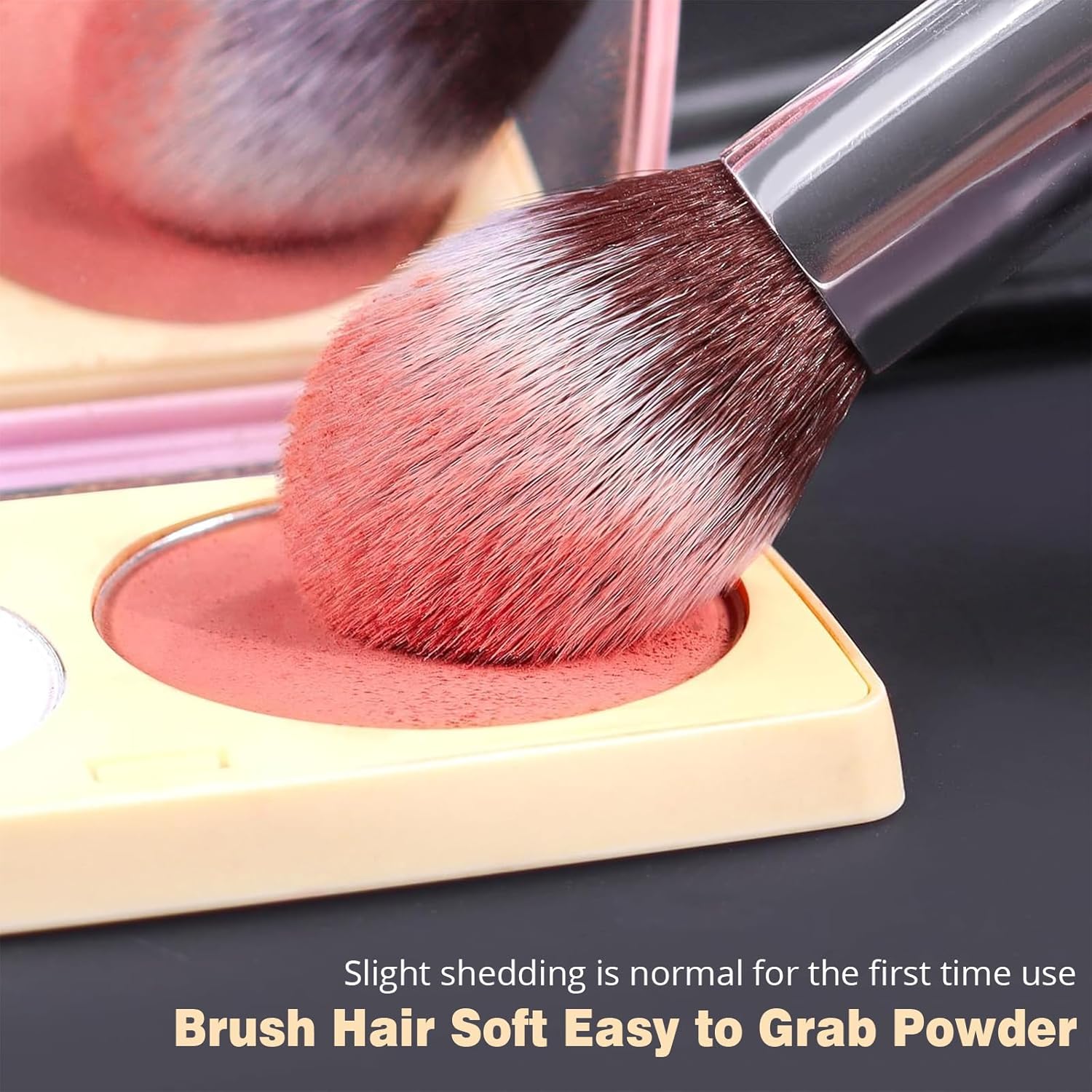 Diversity Make up Brushes 12Pcs Makeup Kit, Premium Synthetic Kabuki Foundation Face Powder Concealers Eyeshadow Blush Brushes Make up Brushes Set, with 2Pcs Blender Sponges (Black/Silver)